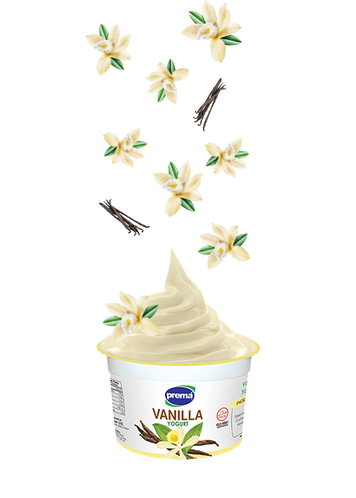 Vanilla-yogurt-img-3